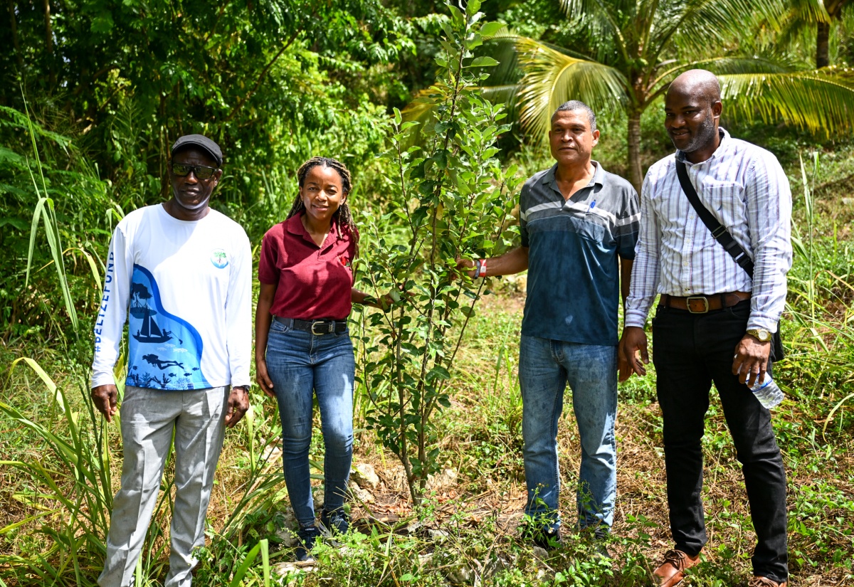 CASE Wambugu Apple Research Deemed Beneficial to CARICOM