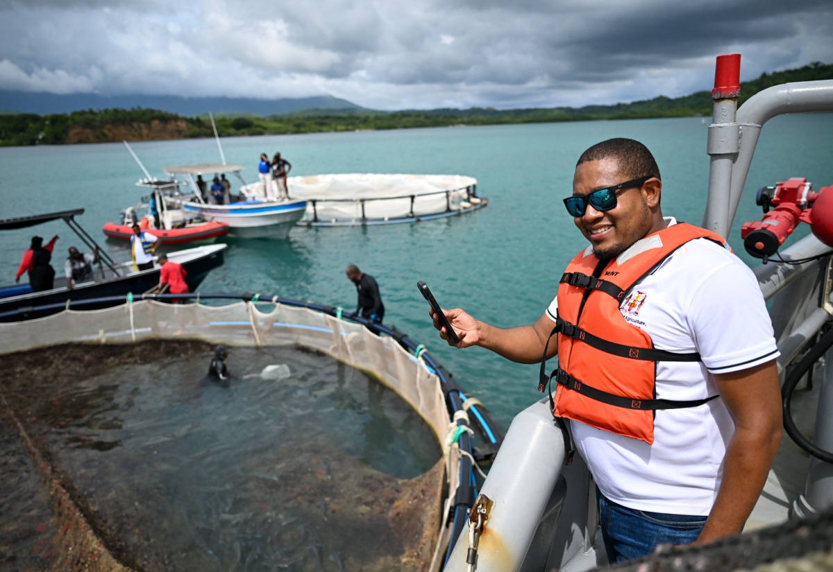 Jamaica Achieves First Marine Cage Culture Fish Harvest