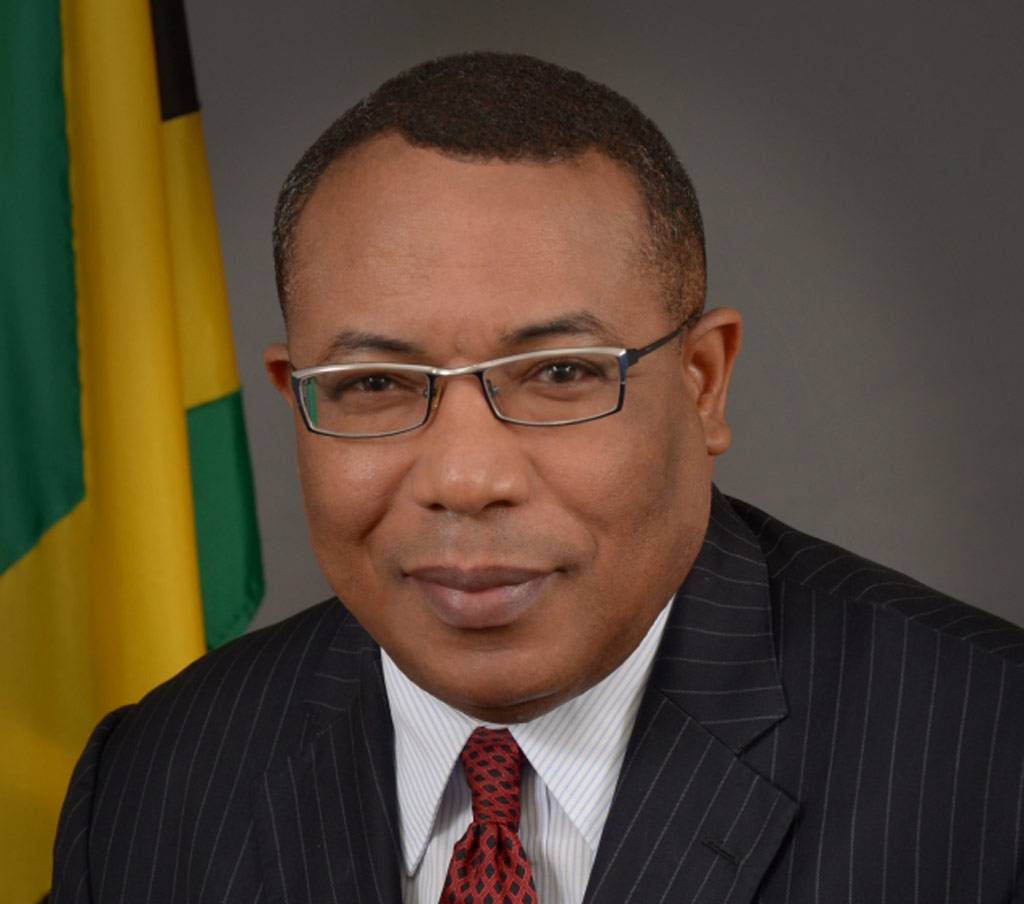 Minister of Investment and Commerce, the Hon. Anthony Hylton.