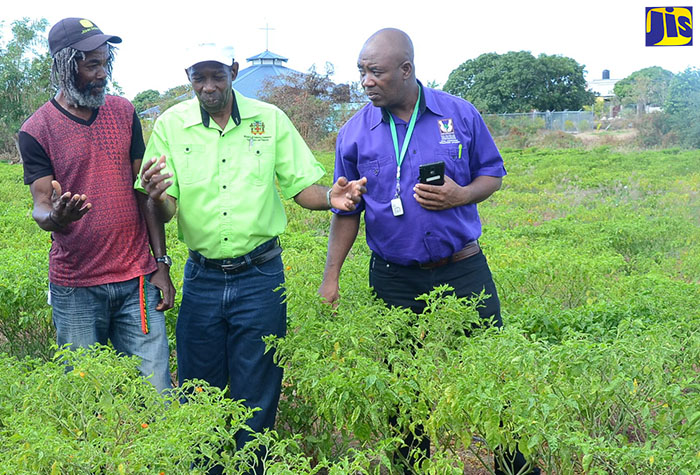 Minister Hutchinson Pledges to Look into Irrigation Needs of West Albion Farmers