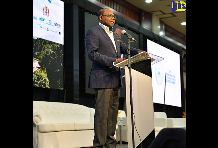 Caribbean Tourism Continues Record Growth