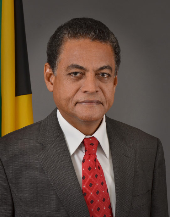 Minister of Local Government & Community Development, the Hon. Noel Arscott, M.P.