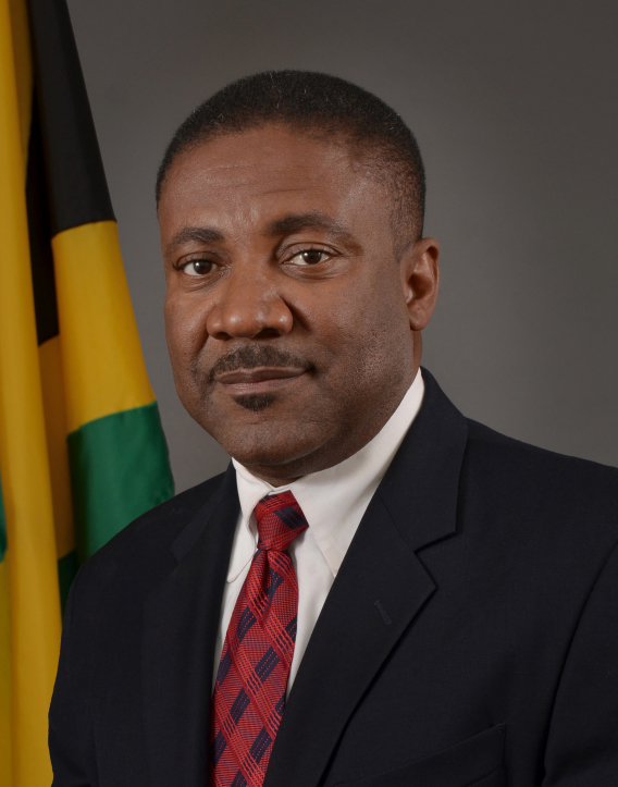 Minister of Science, Technology, Energy and Mining, the Hon. Phillip Paulwell.