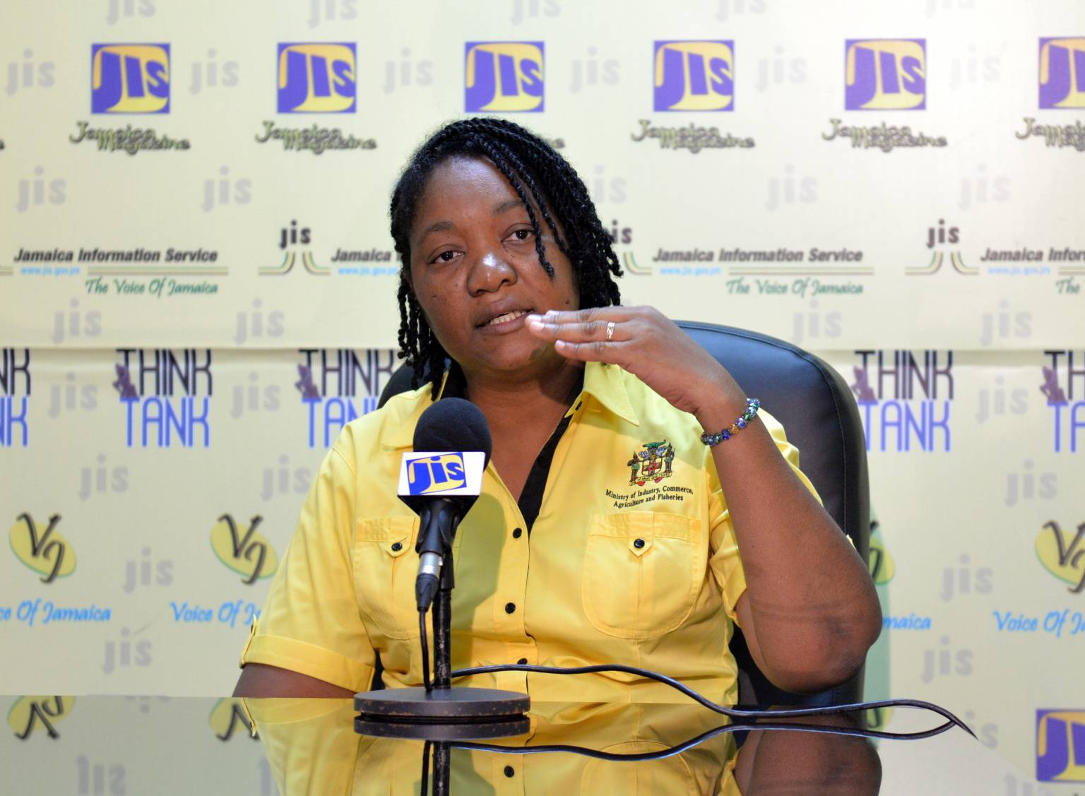 Deputy Research Director of the Crop and Plant Protection Unit, Research Development Division in the Ministry of Industry, Commerce, Agriculture and Fisheries, Michelle Sherwood, addresses JIS ‘Think Tank’ on May 12, about the Beet Army Worm and its impact on farmers.