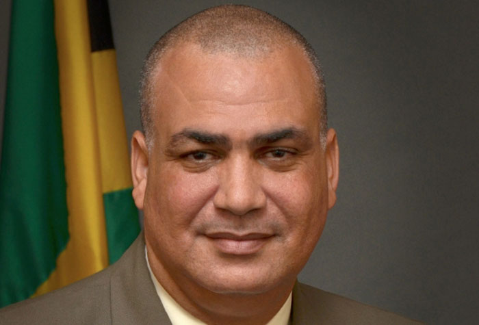 Minister of State, Transport, Works & Housing, the Hon. Richard Azan.