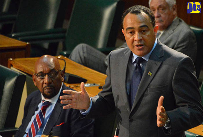 Minister of Health, Dr. the Hon. Christopher Tufton, speaking in the House of Representatives. (FILE)