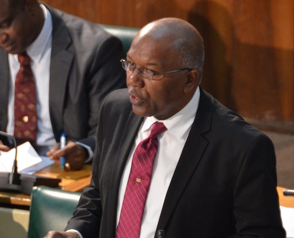 Minister without Portfolio (Housing), in the Ministry of Transport, Works and Housing, Hon. Dr. Morais Guy, making his contribution to the 2013/2014 Sectoral Debate in the House of Representatives on May 21.