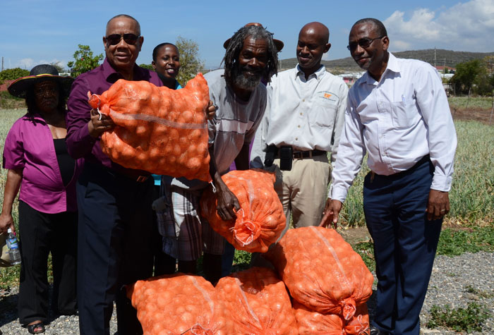 Minister of Agriculture and Fisheries, Hon. Derrick Kellier (left), and St. Thomas farmer, Gary McLean (second left), lift bags of recently harvested onions, during a tour of the Yallahs Agro Park in the parish. Also sharing in the moment are: Advisor to the Minister, Phyllis Mitchell (left, background), Zonal Director, Rural Agricultural Development Authority (RADA), Percival Shaw (right), and Chief Technical Director in the Ministry, Don McGlashan.