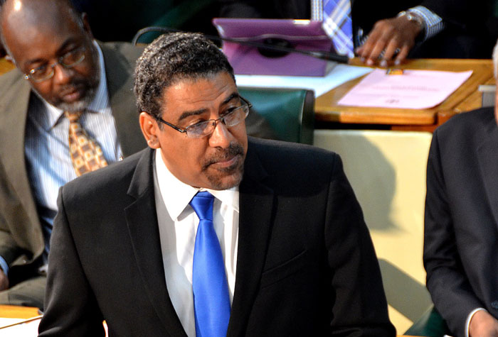 Minister of Tourism and Entertainment, the Hon. Dr. Wykeham McNeill making his contribution to the 2014/2015 Sectoral Debate on Tuesday, May 27.
