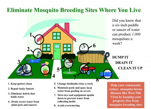 mosquito-breeding-sites – Jamaica Information Service