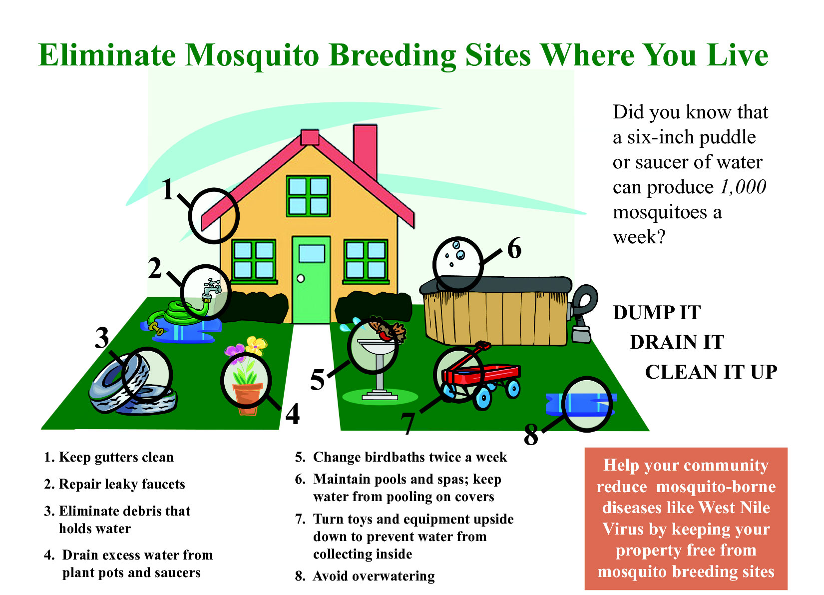 mosquito-breeding-sites-jamaica-information-service