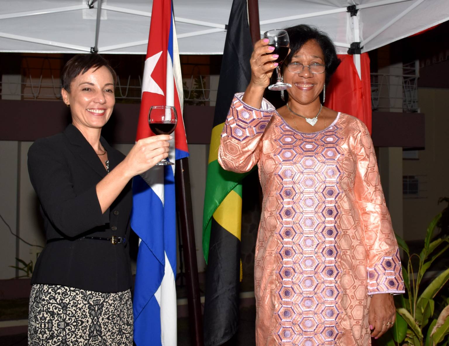 Cuban Delegation to Discuss Bilateral Exchanges