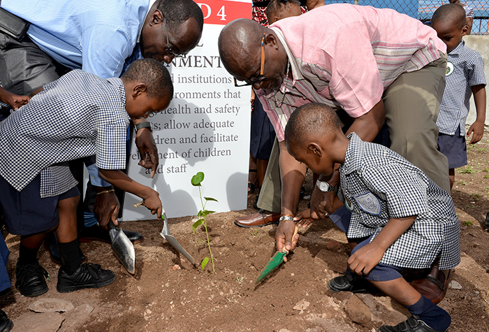 Education Minister Encourages Schools to Plant Trees