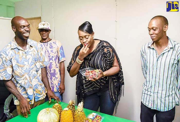 Member of Parliament, East Rural St. Andrew, the Most Hon. Juliet Holness (2nd right) samples strawberries grown in the constituency under the AgriHope initiative. Farmers sharing in the moment (from (left) are Fitzroy Mais, Christopher Schroeter, and Anipe Cripps. AgriHope was conceptualised by Mrs. Holness and seeks to advance agricultural production in the constituency through promoting the cultivation of high-value fruits and vegetables.