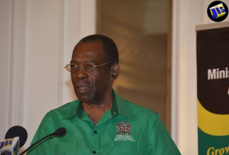 Minister without Portfolio in the Ministry of Industry, Commerce, Agriculture and Fisheries, Hon. J.C. Hutchinson, addresses training seminar on ‘Farm Enterprise Management’, at the Hyatt Ziva/Zilara Rose Hall hotel in Montego Bay, St. James, on August 29. 