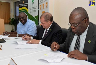 Minister of Industry, Commerce, Agriculture and Fisheries,  Hon. Audley Shaw (centre); Permanent Secretary in the Ministry, Donovan Stanberry (left) and Executive Director of the Caribbean Agricultural Research and Development Institute (CARDI), Barton Clarke, sign Memorandum of Understanding (MOU) for  the refurbishing of the Bodles Research Station’s seed laboratory and storage facility, in St. Catherine. The signing took place on April 25 at the Ministry’s St. Lucia Avenue corporate offices in New Kingston. 