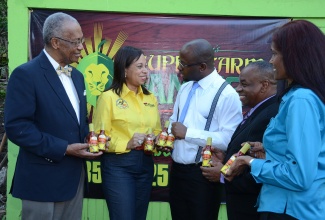 State Minister in the Ministry of Industry, Investment and Commerce, Hon. Sharon Ffolkes-Abrahams (2nd left), listens as manufacturer of the Bamboo Tomato Ketchup, and head of Jamdun’ Food Procesing,  Chevaughn Bowen (3rd left), informs her about the product. Occasion was the recent official opening of the first organic bamboo charcoal factory, in Pembroke Hall, St. Mary. Others (from left) are:  Chairman of the Bureau of Standards Jamaica (BSJ), Professor Winston Davidson; Director of Special Projects at the BSJ, Gladstone Rose, who also heads the Government’s bamboo programme; and the Export Development Manager at Jamaica Promotions Corporation (JAMPRO), Marlene Porter.