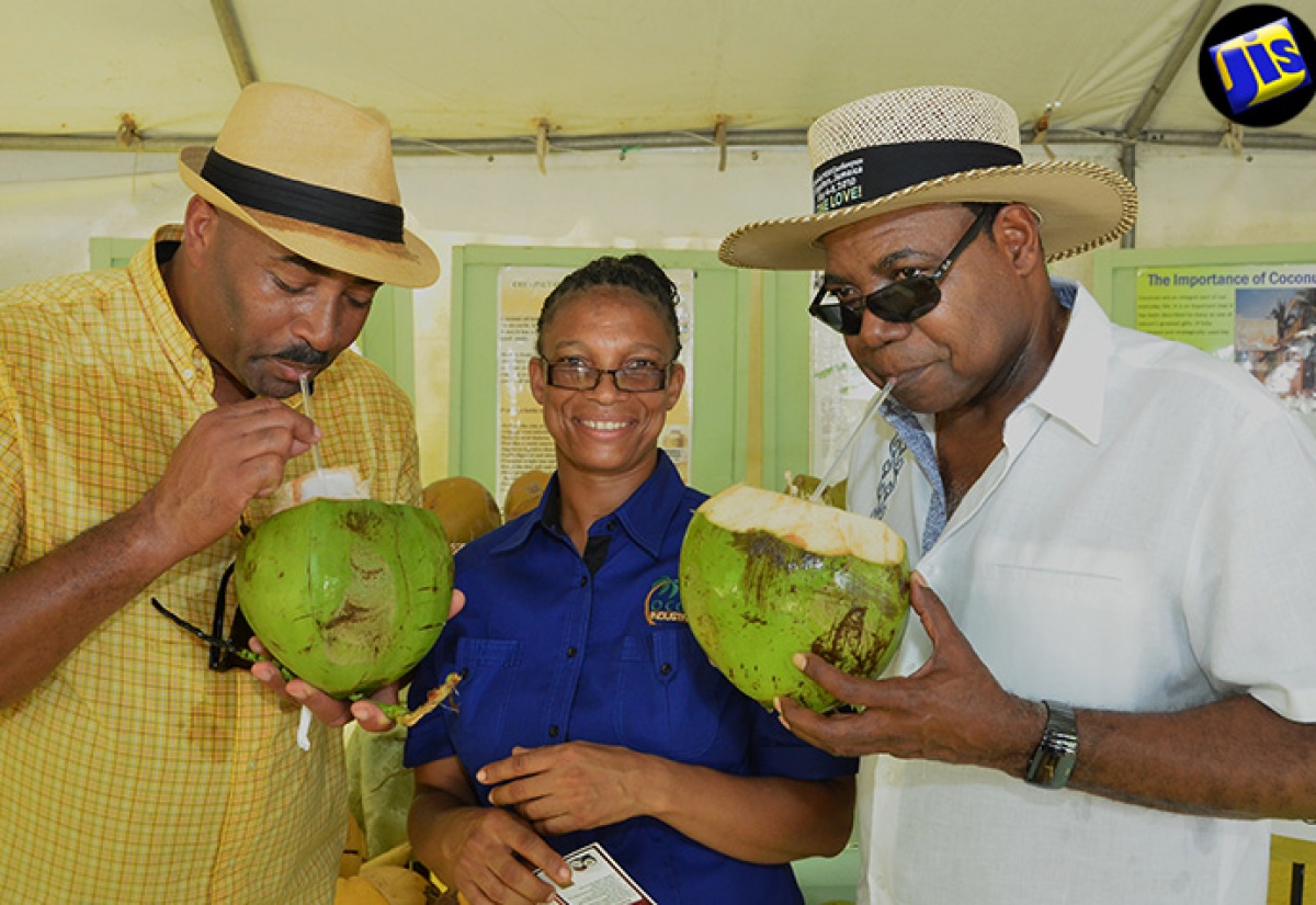 Jamaica on Course to Exceed 3.7 Million Visitors –  Farmers Encouraged to Increase Production