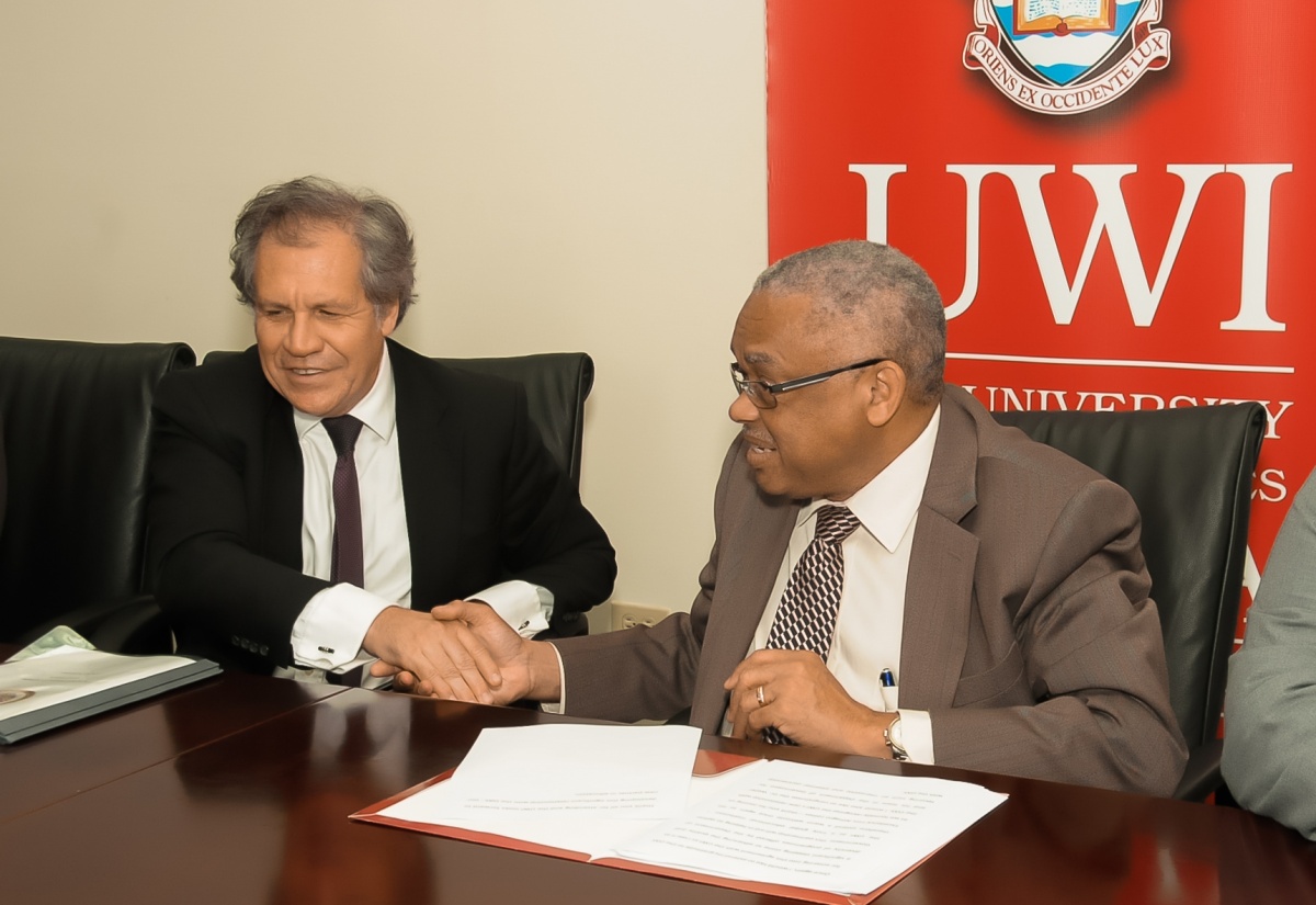UWI Collaborates With OAS to Deliver Citizenship Education Programme