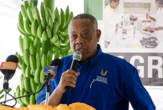 Minister of Agriculture and Fisheries, Hon. Derrick Kellier, addresses a ceremony for the handing over of thousands of banana and plantain suckers and corms to farmers from Portland and St. Mary, held at the Orange River Agricultural Research Station in Highgate on Thursday, January 14.