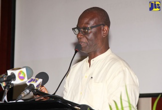 Minister of Local Government and Community Development, Hon. Desmond McKenzie.
