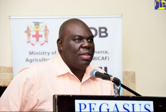 Permanent Secretary in the Ministry of Industry, Commerce, Agriculture and Fisheries, Donovan Stanberry, addressing the pesticides survey results presentation ceremony at The Jamaica Pegasus hotel in New Kingston recently. The survey was undertaken as part of the Agricultural Competitiveness Programme to evaluate food-safety issues associated with pesticide use and, in particular, to identify pesticide use challenges that could impact access to export markets for Jamaican produce.