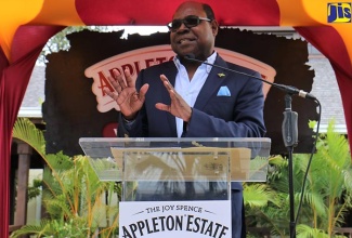 Minister of Tourism, Hon. Edmund Bartlett, addresses the official opening of the Joy Spence Appleton Estate Rum Experience in St. Elizabeth on January 18.