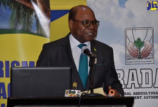 Minister of Tourism, Hon. Edmund Bartlett, addresses the launch of the ALEX platform at the Montego Bay Convention Centre on December 13.   

