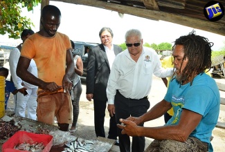 Industry, Commerce, Agriculture and Fisheries Minister, Hon. Karl Samuda (second right), and Director of Fisheries in the Ministry, Gilbert Kong (second left), observe as vendors prepare fish for sale, prior to the start of the opening ceremony for a wellness fair co-hosted by the Jamaica Constabulary Force’s (JCF) Community Safety and Security Branch and the Greenwich Farm Fisherfolks Beach Watch Community Group, at the Greenwich Farm fishing village, located along Marcus Garvey Drive in Kingston, on August 26.