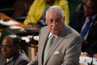 Minister of Transport and Mining, Hon. Lester 'Mike' Henry, makes his presentation in the  2016/17 Sectoral Debate in the House of Representatives on June 8.