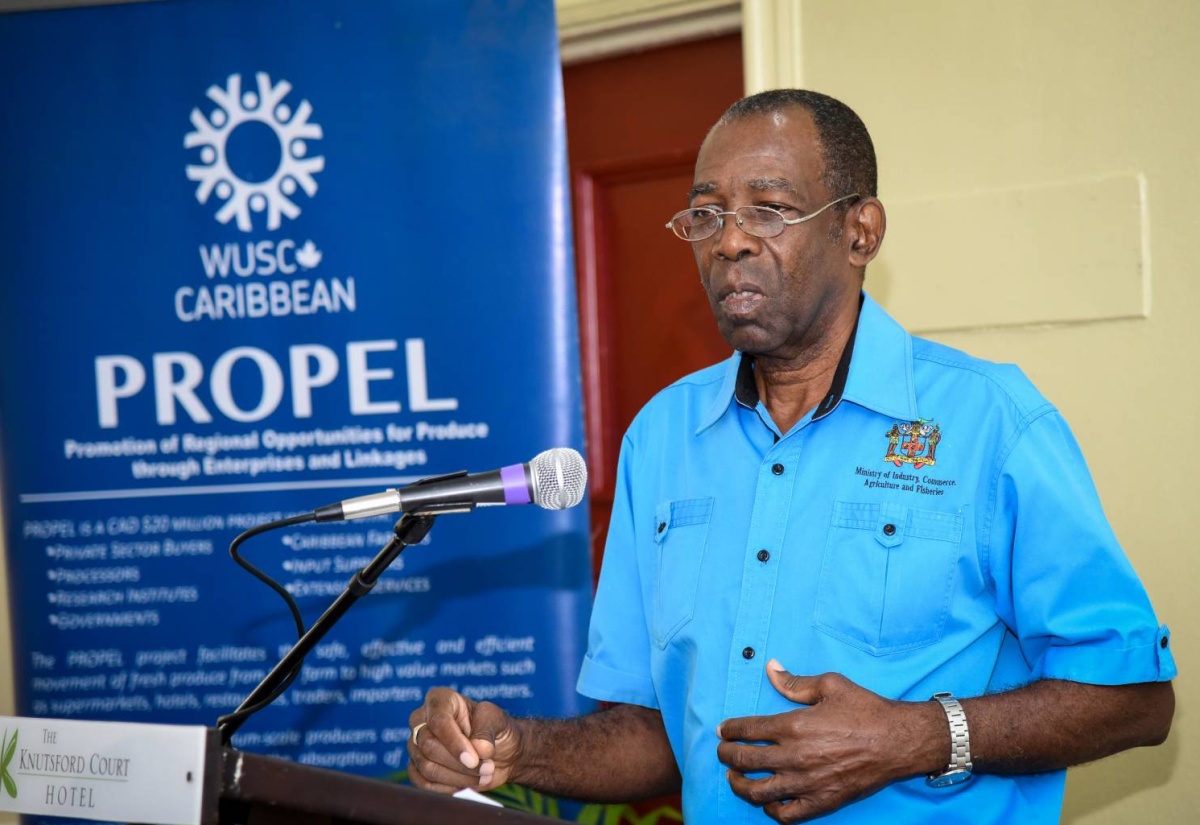 Minister without Portfolio in the Ministry of Industry, Commerce, Agriculture and Fisheries, Hon. JC Hutchinson, addresses the Women & Youth in Agriculture Consultation Forum at the Knutsford Court Hotel in New Kingston on January 19.