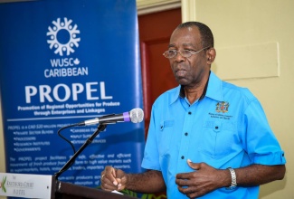 Minister without Portfolio in the Ministry of Industry, Commerce, Agriculture and Fisheries, Hon. JC Hutchinson, addresses the Women & Youth in Agriculture Consultation Forum at the Knutsford Court Hotel in New Kingston on January 19.