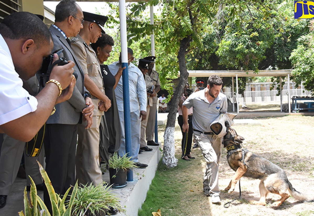 Canines, Worthy Partners in Fighting Crimes