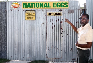 President of the Jamaica Egg Farmers Association, Mr. Roy Baker, stands at the entrance to his farm in St. Catherine. Egg farmers are expected to produce 130 million eggs in 2014.