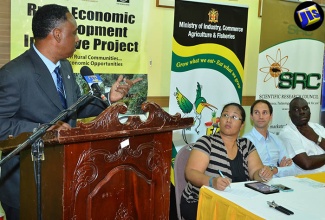 Managing Director at the Jamaica Social Investment Fund (JSIF), Omar Sweeney (at podium), delivers the keynote address at the launch of a $19-million programme to boost the country’s capacity to produce clean Irish potato seedlings, on August 15 at the Scientific Research Council (SRC) offices in St. Andrew. Others (from left) are Chief Post-Entry Officer at the Bodles Research Station, Dr. Peta-Gaye Chang; Consultant/Trainer with the programme, Dr. Juan Carlos Perez Guerra, and Permanent Secretary in the Ministry of Industry, Commerce, Agriculture and Fisheries, Donovan Stanberry.