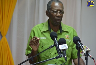 Minister without Portfolio in the Ministry of Industry, Commerce, Agriculture and Fisheries, Hon. J.C. Hutchinson, addresses the Human Employment and Resource Training (HEART) College of Hospitality Services/Western Hospitality Institute Trade Show, held at the Cardiff Hotel and Spa, Runaway Bay, St. Ann, on November 16.