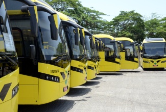 JUTC Buses 