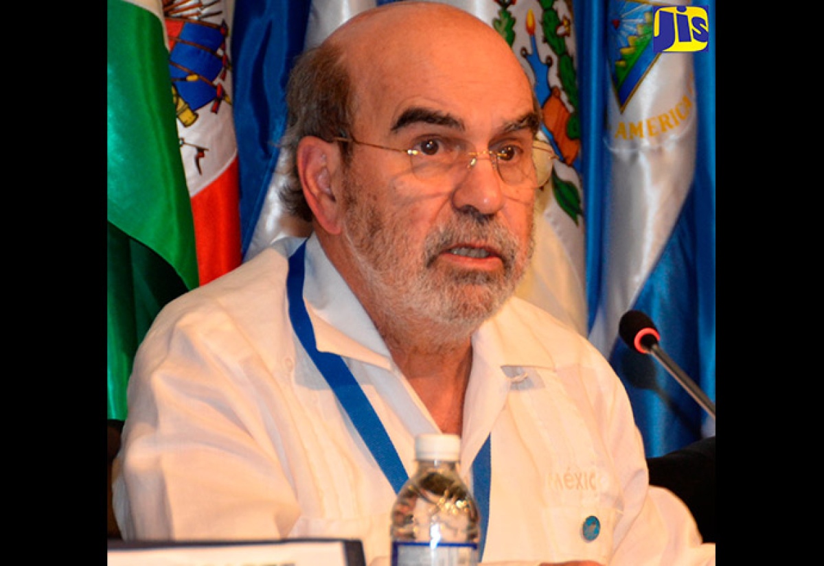 FAO Director-General Calls for Collaboration to Combat Malnutrition and Obesity