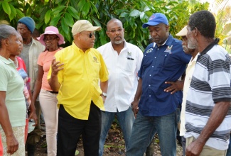 Minister of Agriculture and Fisheries, Hon. Derrick Kellier (centre), engages in discussion with members of the Hazelymph Farmers Co-operative, during a tour of the proposed Hazelymph agro-park in Hanover recently.  Minister of State, Hon. Luther Buchanan  (4th right); and Rural Agricultural Development Authority (RADA) Acting Parish Agricultural Manager for Hanover, Collin Henry (3rd right), were also on the tour.