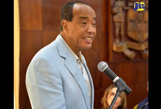 Economic Growth Council Chairman, Michael Lee-Chin.