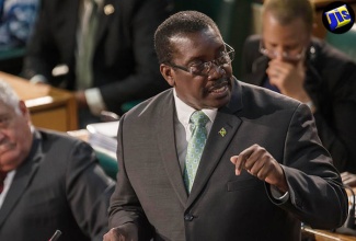 Minister of National Security, Hon. Robert Montague. (FILE)