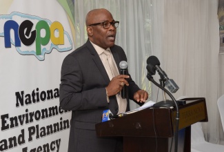 Chief Executive Officer at the National Environment and Planning Agency (NEPA), Peter Knight. 

