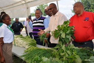 State Minister in the Ministry of Agriculture, Labour, and Social Security, Hon Luther Buchanan (2nd right), converses with third year student of Knockalva Agricultural School in Hanover, Stacy-Ann Muir (left), about the products displayed at her school’s booth, mounted at the Rural Agricultural Development Authority (RADA) Hanover parish office’s recent open day exhibition in Lucea, at which he was the guest speaker. Others pictured include: RADA Chief  Executive Officer, Lenworth Fulton (right); and RADA’s Western Jamaica Zonal Director, Donald Robinson (2nd left), and other agency executives. 