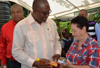 Minister of  State in the Ministry of Agriculture, Labour and Social Security, Hon. Luther Buchanan (right), listens as Rural Agricultural Development Authority (RADA) Zonal Director for Western Jamaica, Donald Robinson, explains features of the RADA Haughton Court greenhouse and ginger nursery. The Minister toured the facility after addressing the Hanover RADA Open Day Exhibition on December 4.