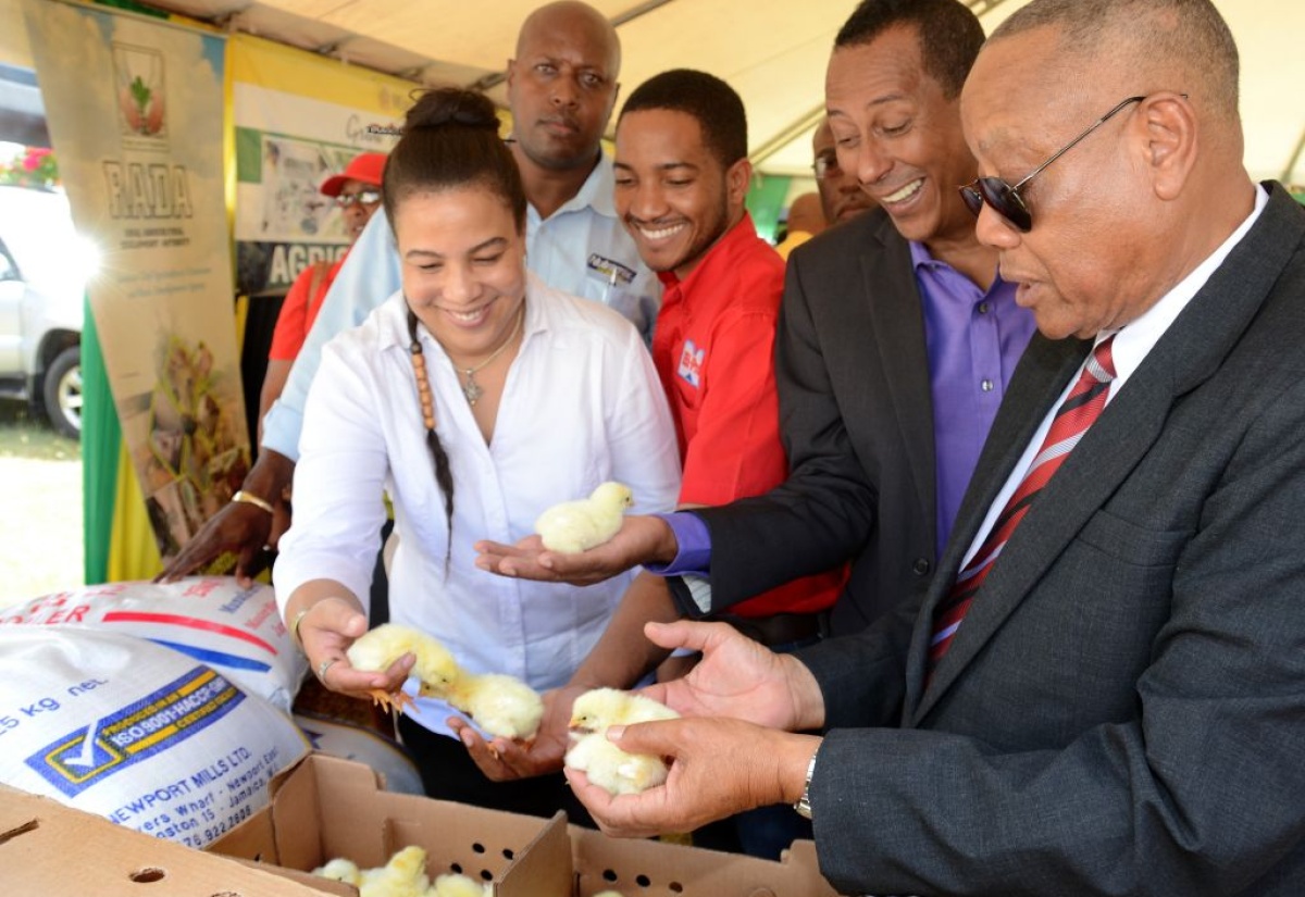 Agriculture Ministry Launches $42.9 Million Support Project for Small Poultry Farmers