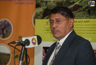 Permanent Secretary in the Ministry of Industry, Commerce, Agriculture and Fisheries, Reginald Budhan, addresses the Inter-American Institute for Cooperation on Agriculture (IICA) Regional Agri-Value Chain Financing Forum, held at the Courtleigh Hotel & Suites on September 26.