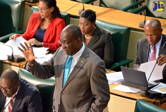 Education, Youth and Information Minister, Senator the Hon. Ruel Reid (standing), emphasises a point during the Senate’s sitting on September 23.