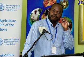 Principal Director, Planning and Policy, Ministry of Industry, Commerce, Agriculture and Fisheries, Shaun Baugh, addresses the opening session of the Food and Agriculture Organization’s (FAO) national consultation to discuss priorities for Jamaica’s food and nutrition security and rural development held at The Knutsford Court Hotel in New Kingston on February 20.