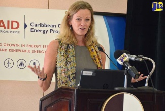 Mission Director of the United States Agency for International Development (USAID) in Jamaica, Maura Barry, addresses an energy efficiency training workshop for members of the hotel sector at the Half Moon Hotel in Montego Bay, St. James, recently. Ms. Barry told participants that the United States government will continue to give full support to Jamaica and other Caribbean countries to become energy independent.
 
