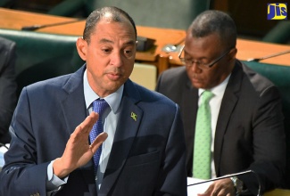 Government Senator, Don Wehby, making his contribution to Friday’s (July 7) debate on the Law Reform (Zones of Special Operations) (Special Security and Community Development Measures) Act, 2017, during the Senate’s sitting at Gordon House. Seated is Government Senator, Charles Sinclair.